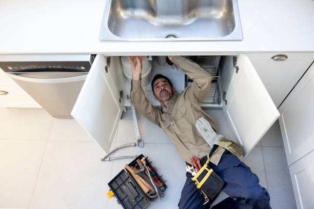 Best Clogged Drain Plumber  in Hustisford, WI